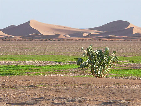 Chigaga : la fronti�re des sables