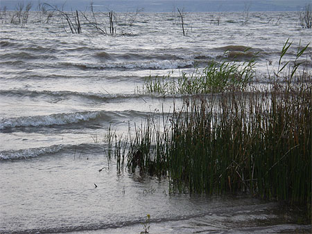 Kinnereth (Lac de Tib�riade)