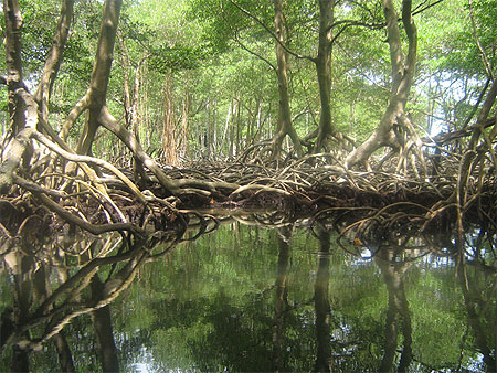 Parc naturel de Los Ha�tes