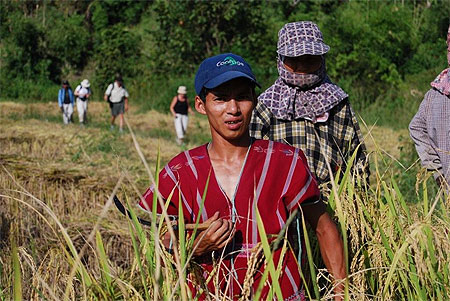 Artisans au travail dans les rizi�res
