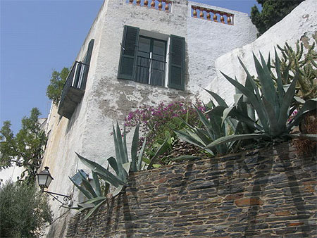 Agaves � Cadaqu�s