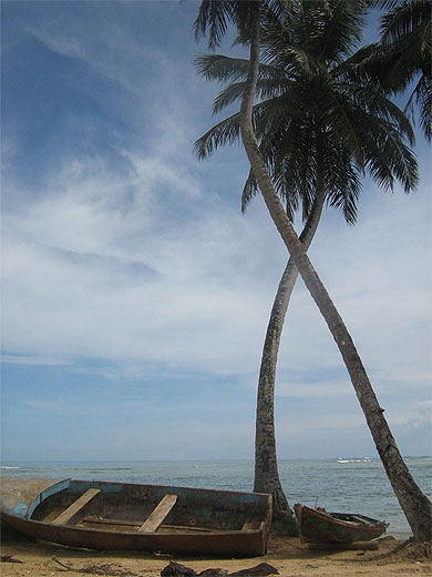 Plage de las terrenas