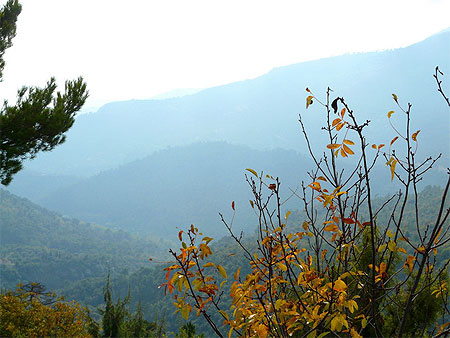 Paysage d'Automne