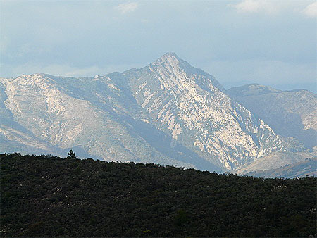 Montagnes bois�es