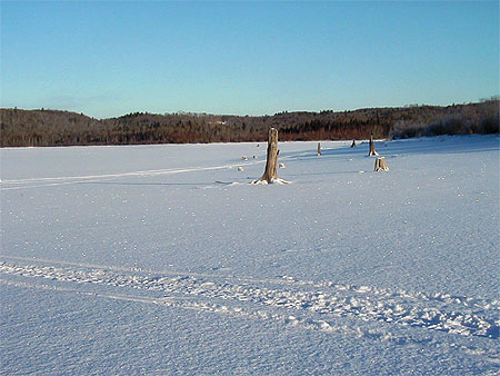 Le lac gel�