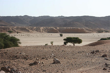 Alg�rie - Hoggar - Oued Tamekrest