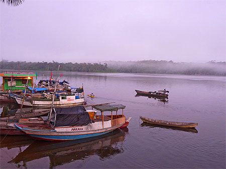 Brume sur l' Amazone