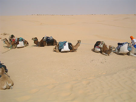 Paradis de sahara