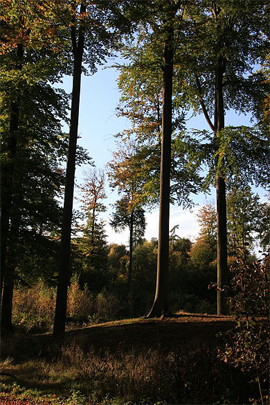 Lumineuse arri�re-saison