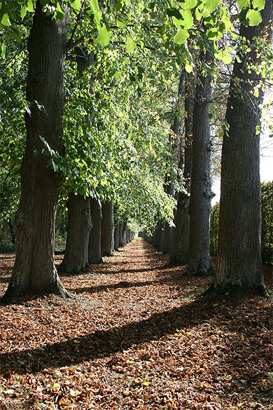 Ambiance d'automne