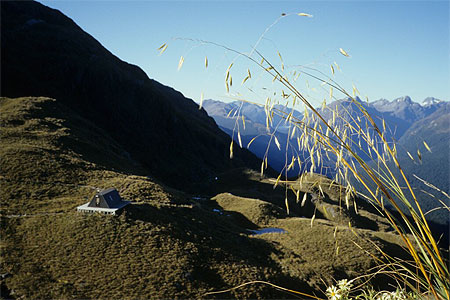 Harris Saddle