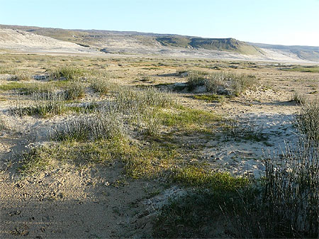 La plage de Breidavik � 22h