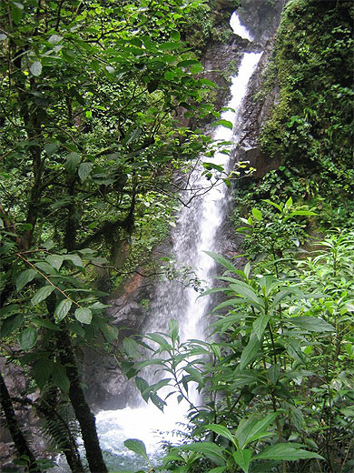 Cascade San Luis