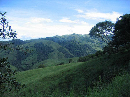 Collines vertes pr�s de Monteverde
