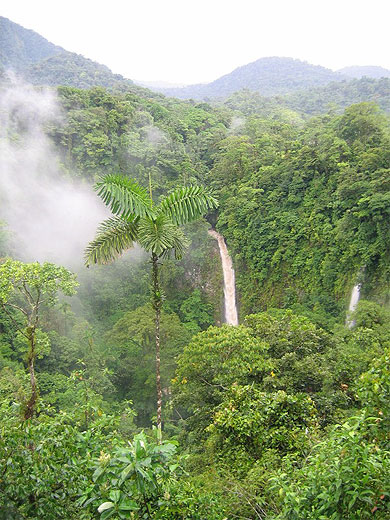 Cascades de La Fortuna