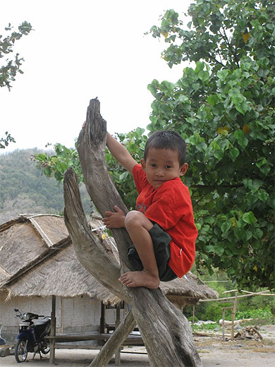 Petit indon�sien malicieux