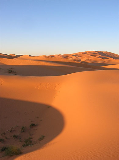 D�sert de Merzouga