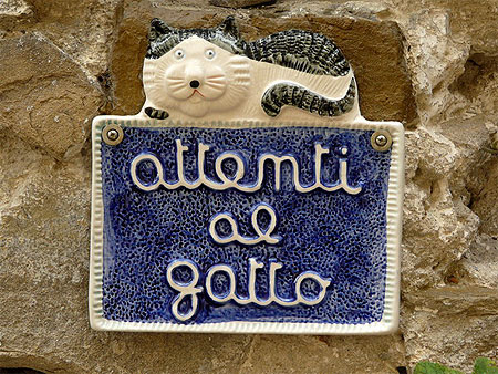 Attention au chat