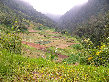 La campagne dans les environs de Quetzltenango