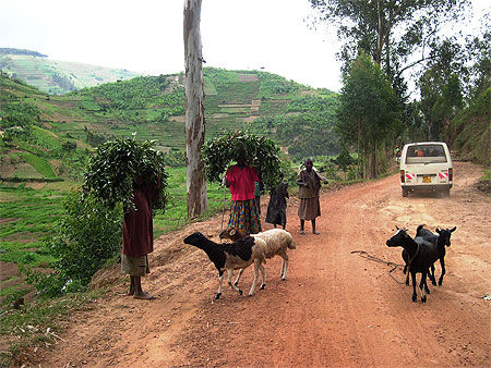Route de Ruhengeri