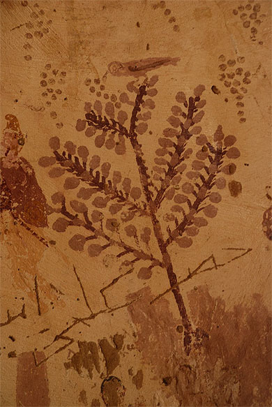 Un vieil arbre