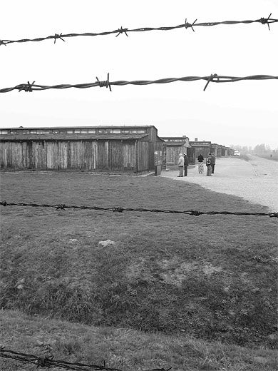 L'extermination � Birkenau