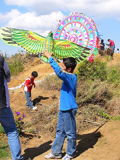Les petits cerfs volants sont aussi bienvenus