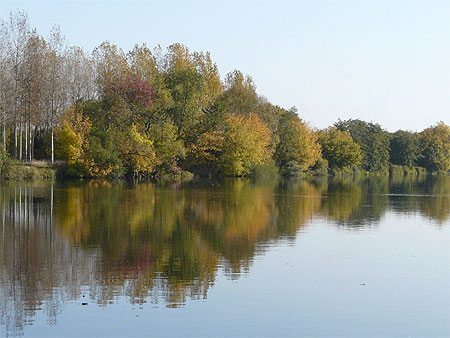 Automne au bord du Cher