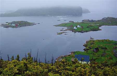 Baie sous la brume