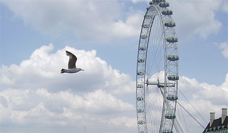London eye
