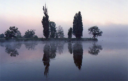 Reflet sur la Seine