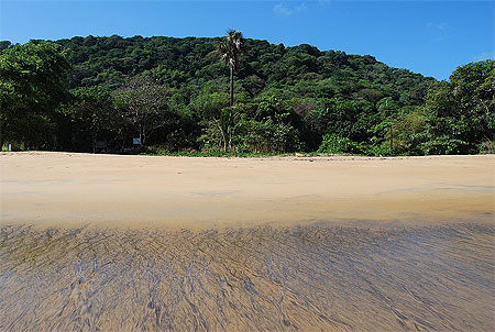 Plage vers R�mire-Montjoly