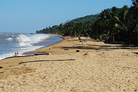 Plage vers R�mire-Montjoly