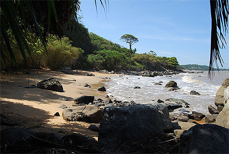 Plage vers R�mire-Montjoly