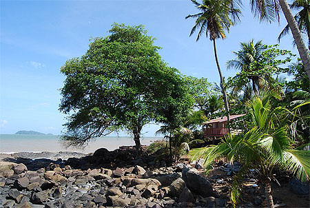 Plage vers R�mire-Montjoly