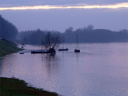 Brume et cr�puscule sur la Loire