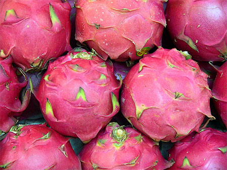 Dragon fruit