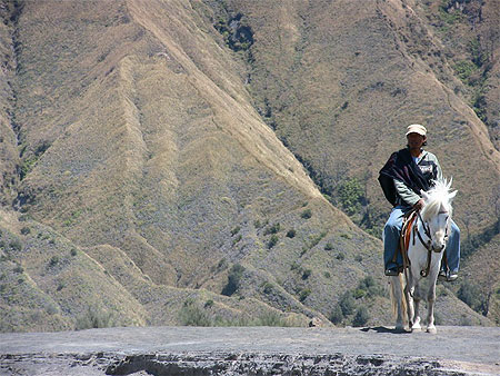 Cavalier au pied du Bromo