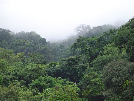 Palenque