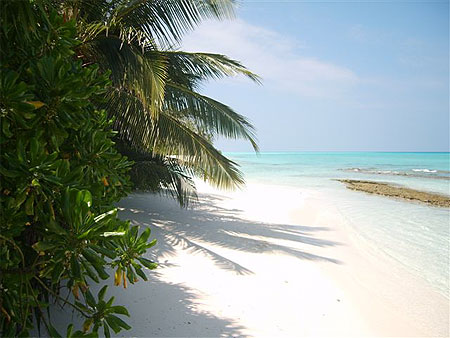 Kuramathi "Les Maldives"