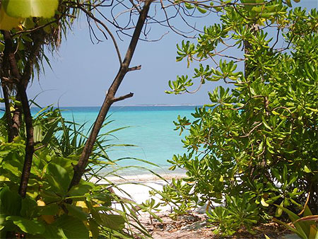 Kuramathi 2 "Les Maldives"