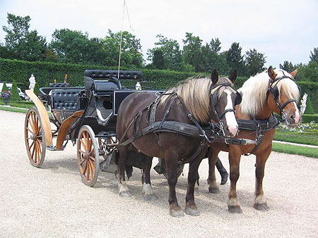 Au palais de Versailles