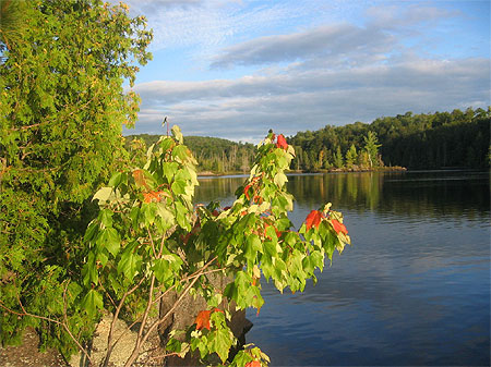 Pourvoirie du Lac Blanc