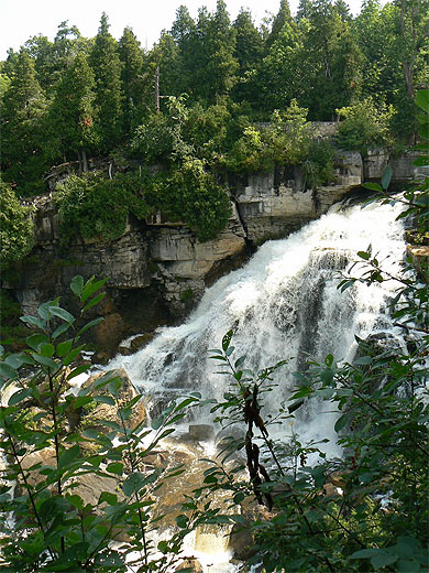 Inglis Falls