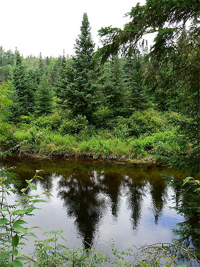 Park Algonquin