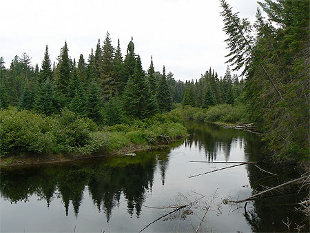 Parc Algonquin