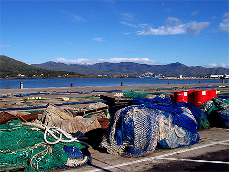 Les Pyr�n�es depuis El port de la Selva