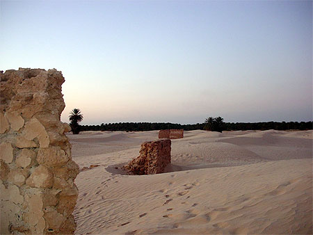 Ruines Dunes et Oasis