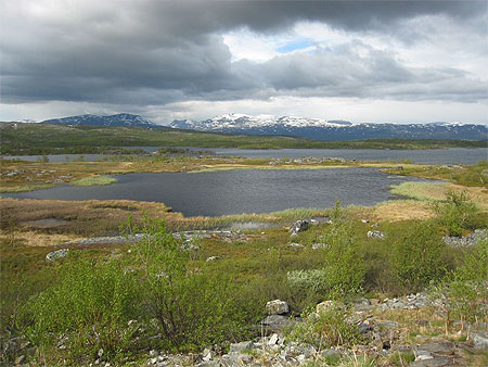Paysage de laponie