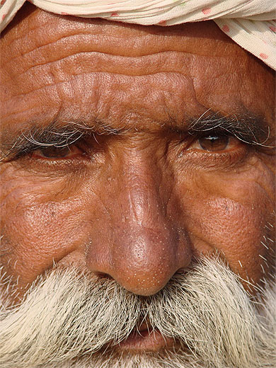 Regard